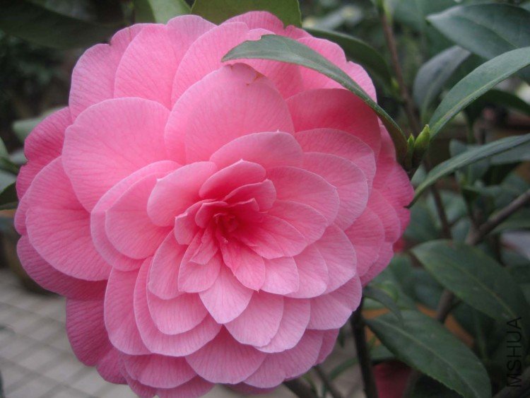 ̫���� 09-3-23.jpg