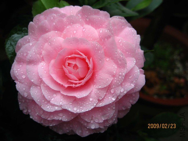 �Ҹ����� 09-2-23.jpg