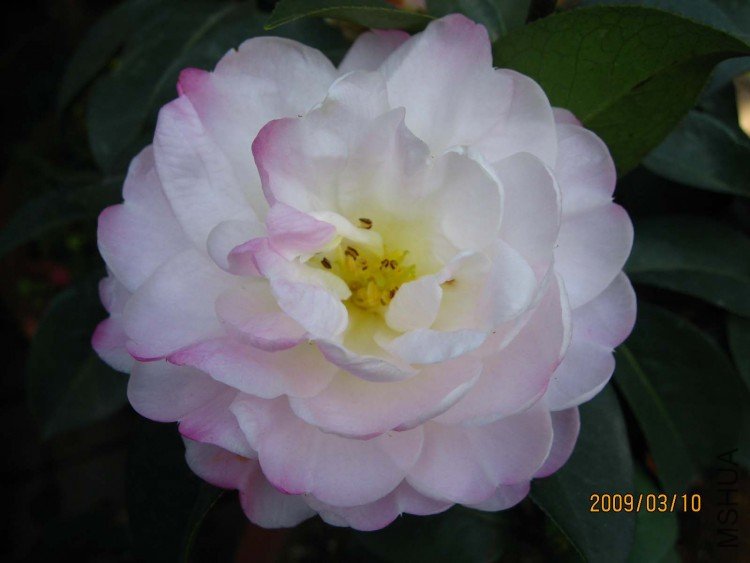 �����Ϲ� 09-3-10 (2).jpg