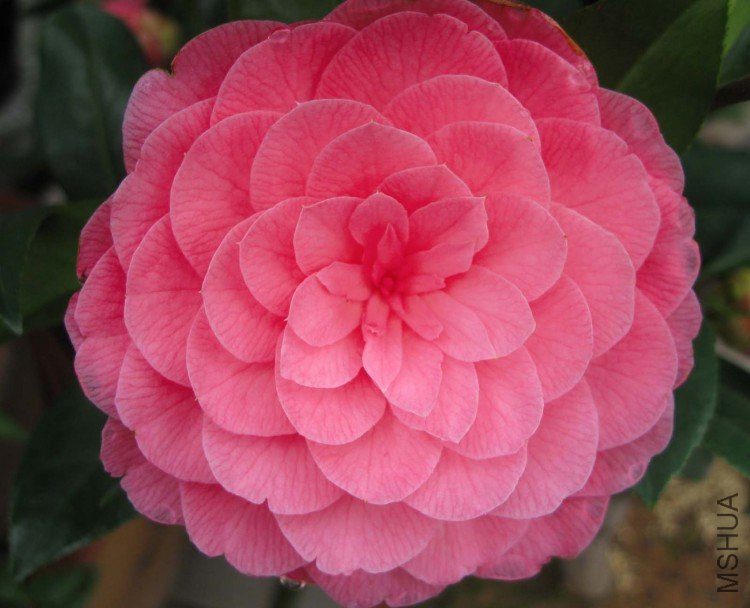 ̫���� 09-3-22 (2).jpg