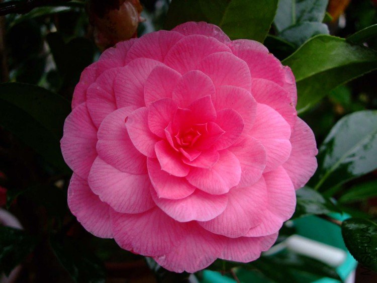 ̫���� 09-3-27.jpg