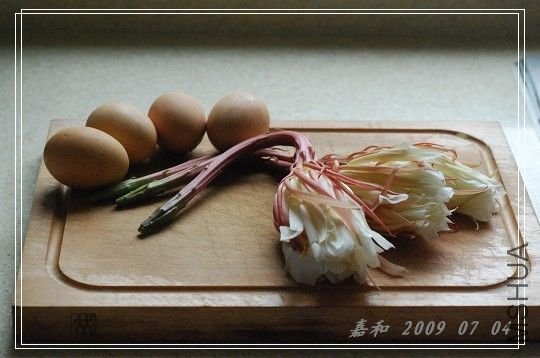 꼻�����.jpg