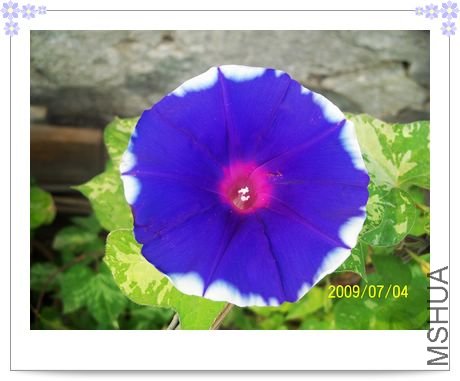 ���տ��� 014.jpg