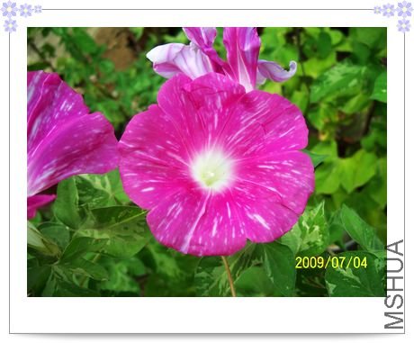 ���տ��� 009.jpg