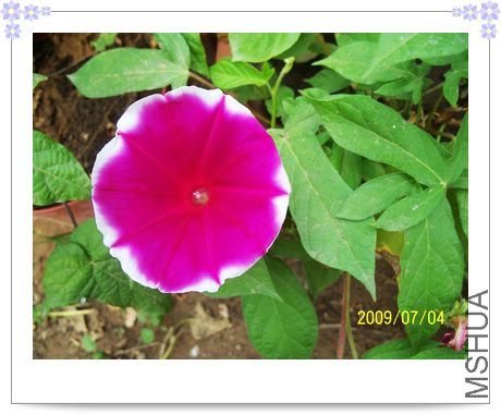 ���տ��� 005.jpg