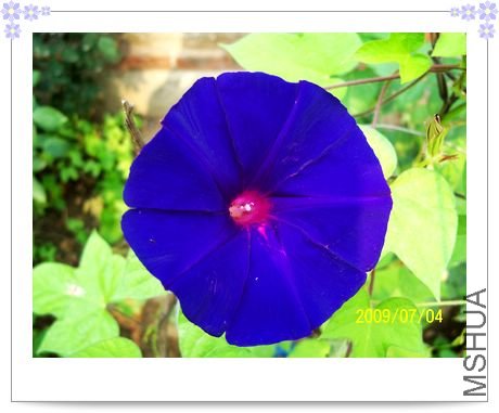 ���տ��� 003.jpg