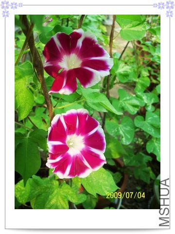 ���տ��� 011.jpg