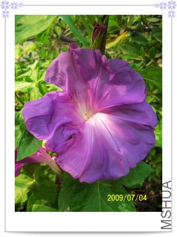 ƽ��֮Ȫ�����ܴ������15����