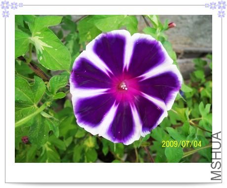 ���տ��� 010.jpg