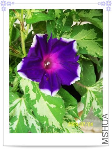 ���տ��� 019.jpg