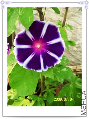 ���տ��� 017.jpg