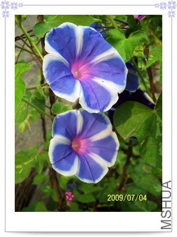 ���տ��� 012.jpg