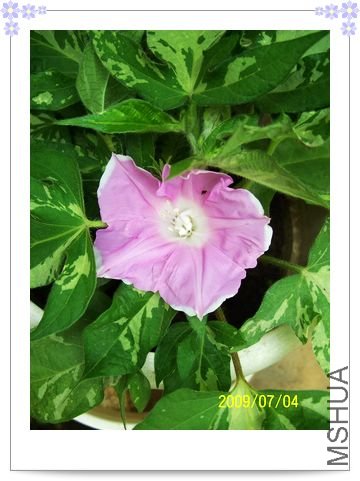 ���տ��� 020.jpg