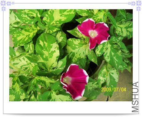 ���տ��� 033.jpg