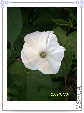 ���տ��� 030.jpg