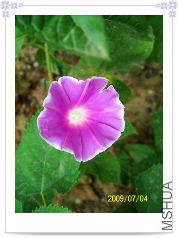 ���տ��� 027.jpg