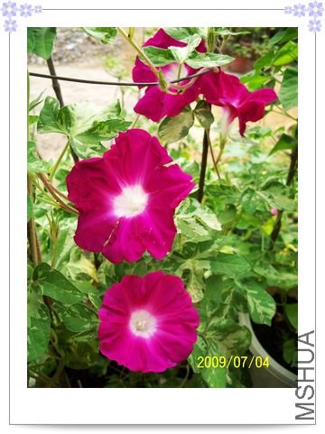 ���տ��� 022.jpg