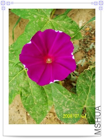 ���տ��� 026.jpg