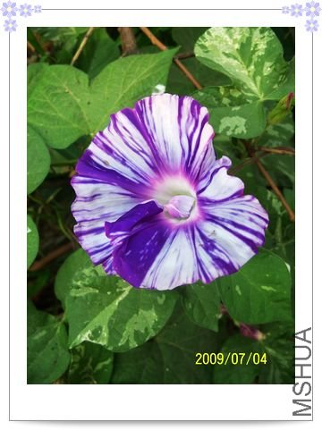 ���տ��� 029.jpg