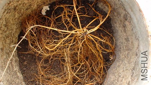 1-20�գ���С�����裬�������ĸ�ϵ��