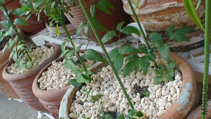 3-18�գ�����İ�ѿ�������Ĳ����Ѿ��������ˣ��������û�г���