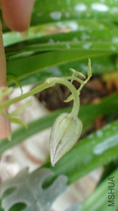 6-26�գ�������д��