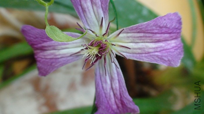 ��дһ�£�����ͦ���ɣ�