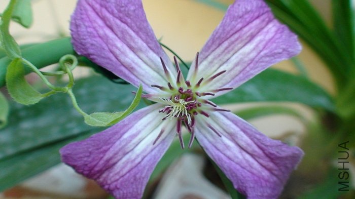 �������Ƕȿ�����