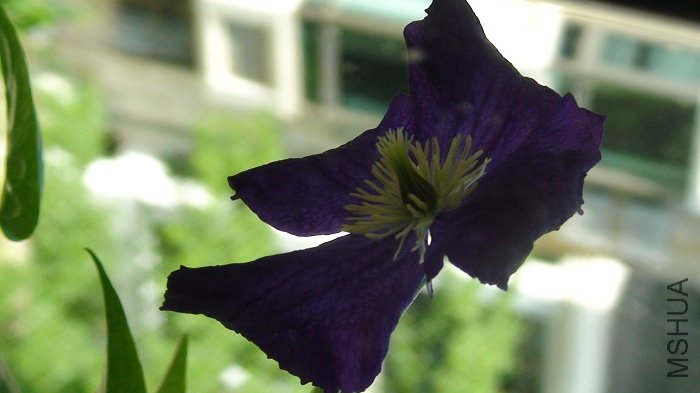 ��������д�ɣ�