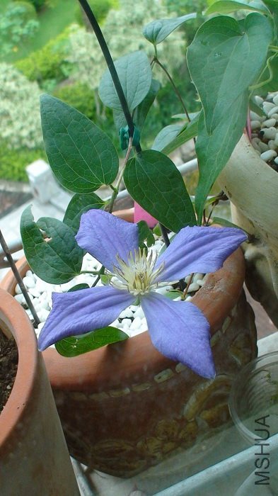 6-27�յĶ���ȫ���ա�