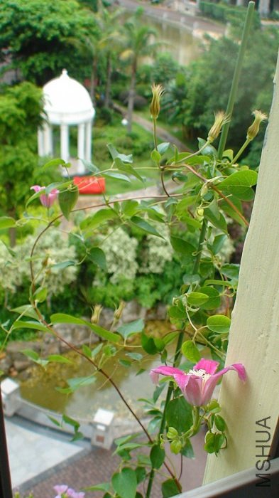 ��л�˵Ļ���Ϳ������������Ѿ����˾Ŷ�����