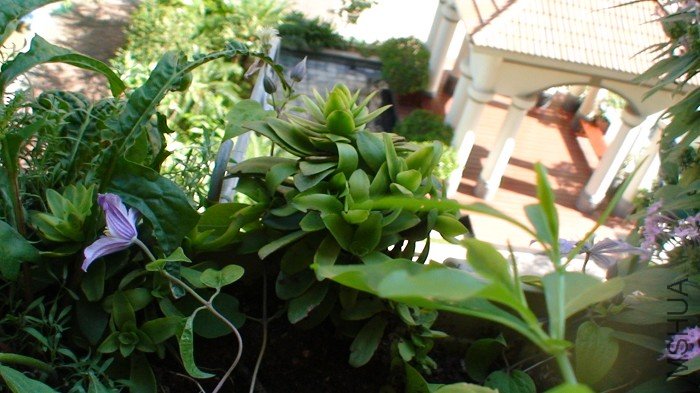 7-1�գ���û����ʢ���ڵ����ӣ�