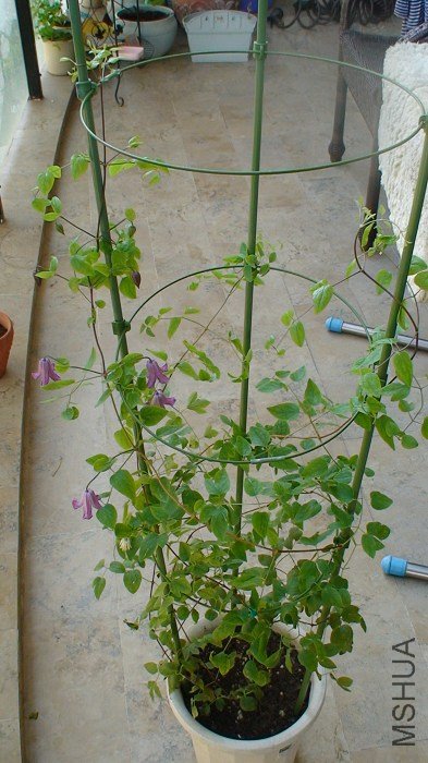 7-1�գ������Ķ�����ӣ��Ѿ�л�������أ�