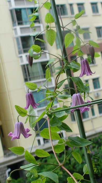 7-4�գ������������ϣ�