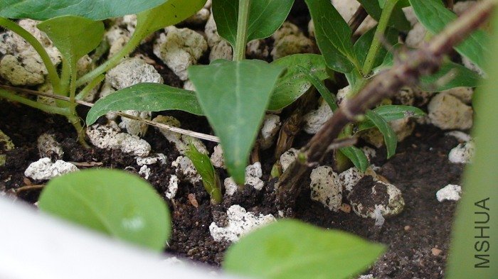 �ٿ��������ﻹ��ð��ѿ�أ�