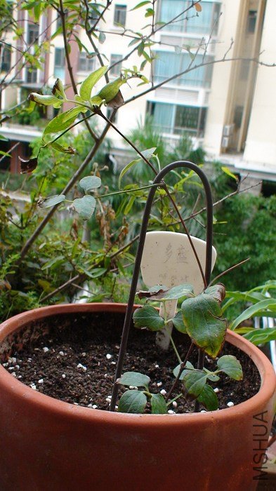 ����Ƕ���������������ѿ�ģ��������ͳ��ˣ��治֪��ʱ�ܳ��󿪻�����