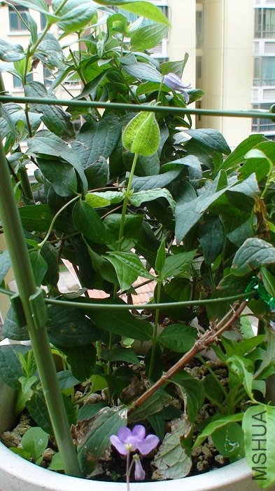 ����ǳ����������ѿ��������ǰ��ð�����ģ��Ѿ��ܸ��ˣ������ֳ��˻��٣�