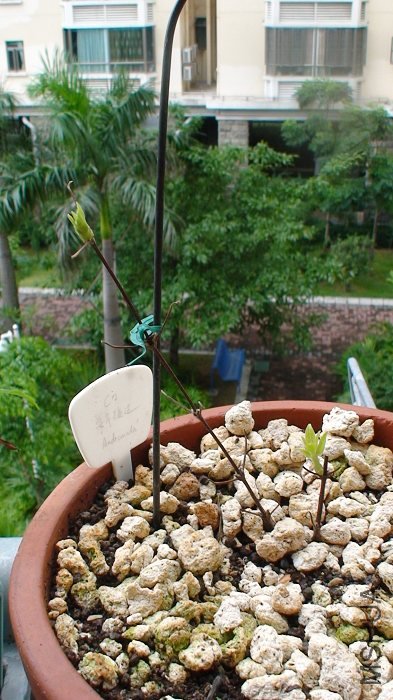 ����7-4�գ���������ӣ���ѿ����ing.