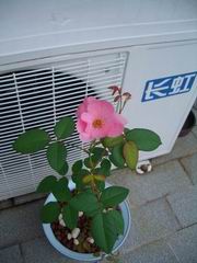 ������С �ٵ�һ����0.jpg