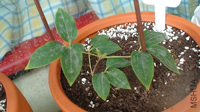 4-2��, ���ڳ���ת��! ____������ѿ!