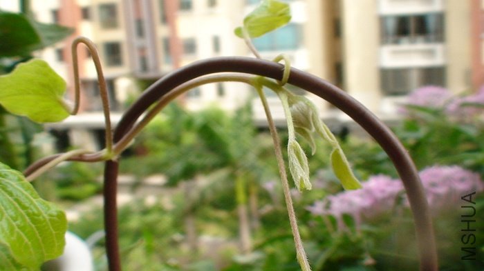 ������дһ��! ��ʱ�����ߴ�������.