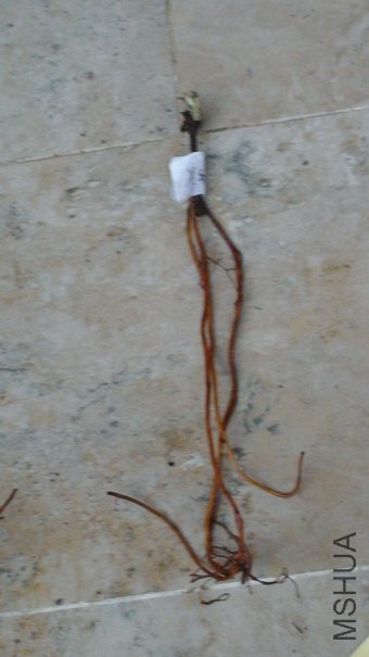 12-25��, ��ʱ�ĸ�ϵ. Ҳֻ��������!