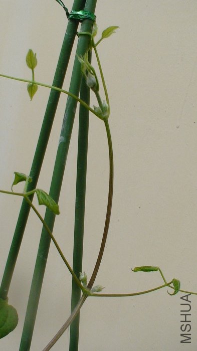 ��������дһ��!