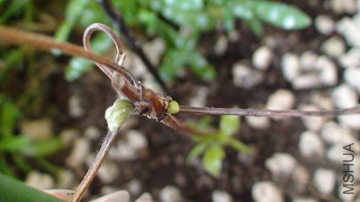 ��������ĵڶ���, Ҳ��������ѿ����! ֻ�ǲ�֪�ܷ񷢵ó���.