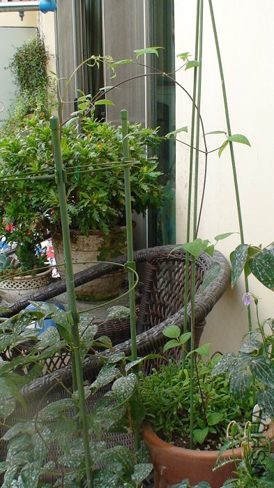 6-23��, ���÷ɿ찡! �Լ��ܵ�����ļ���������һȦ.