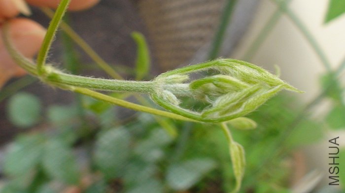 6-24�գ����һ�����д��