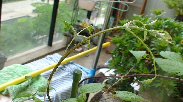 ���Ƕ��ҵ���д! ��, ��������!