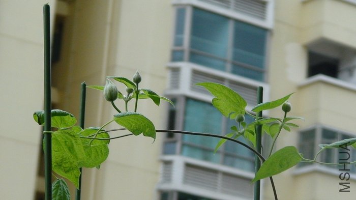 7-4�գ����ҵ��ٴ���д���������˵����Ȼ��������ֿ�Ҫ���ˣ�