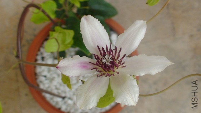 7-5�գ����ɱȿ����������ǿ����ڶ�������ӣ�