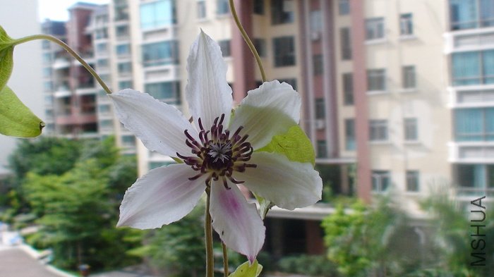 �ǲ����е���׿÷��Ļ�?  ���������µ�������